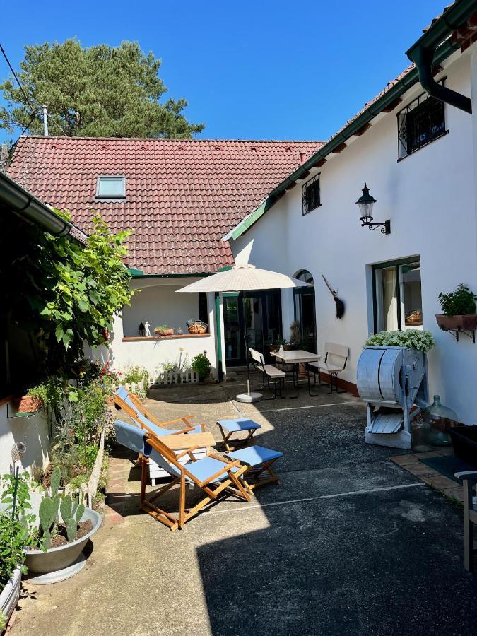 Derhofrat Apartment Litzelsdorf Exterior photo
